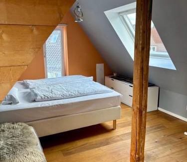 Ulm Apartment | The cozy rooftop