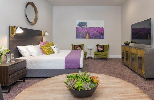 Dundee Hotel | The Dundee - A Trace Hotel