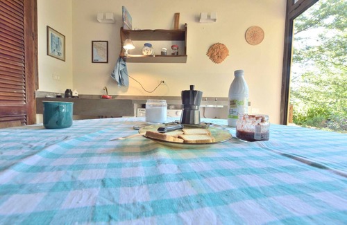 Monteverdi Marittimo House | The Fox of the Lighthouse. Holiday home surrounded by greenery