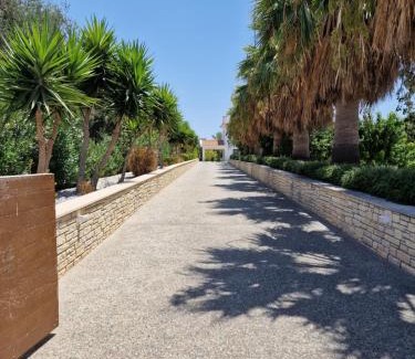 Pegeia Villa | The Family Nest Villa in Cyprus