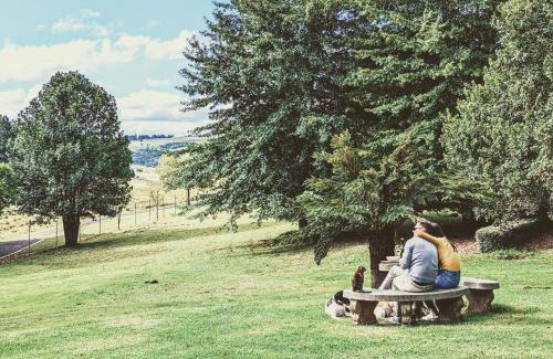 Nottingham Road Bed & Breakfast | The FarSide Country Manor