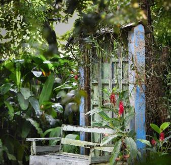Battaramulla Bed & Breakfast | The Fern Cove Villa - Colombo