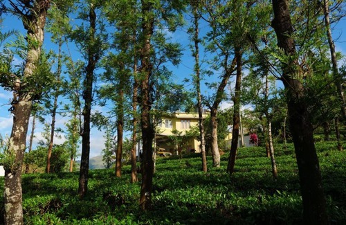 Thavinhal House | The Forest Resort - Muneeswaramudi Eco Hermitage and Farms