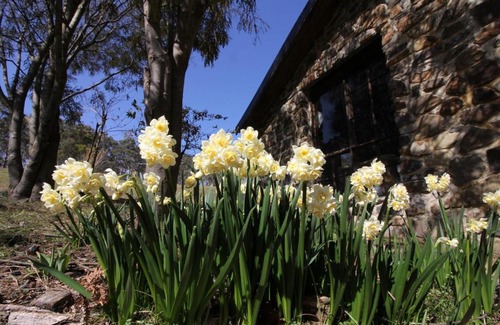 Buckland Bed & Breakfast | The Great House BnB