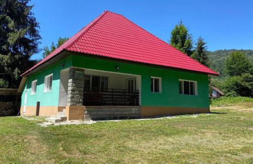 Pietroasa House | The Green House - Apuseni Mountains