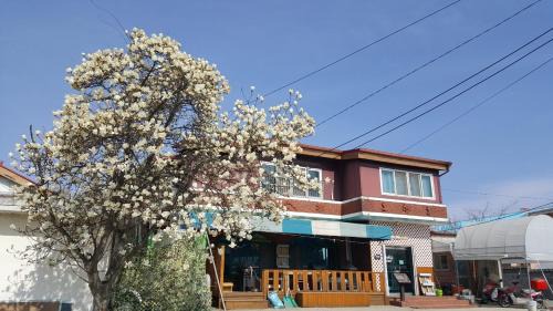 Paju House | The Guesthouse DMZ Stay