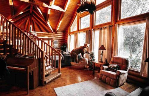 Shasta Lake House | The Happy Bear Lodge