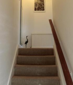 Sunninghill Apartment | The Haven at Talysarn