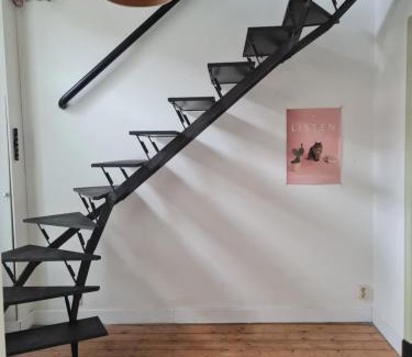 Stratum House | the home of the gnome