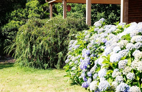 Mount Macedon House | The House Sleeps 2 - 7 3 bedrooms,2 bathrooms