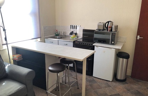 Douglas Apartment | The Hutchinson Apartments - Apartment 2 - Studio