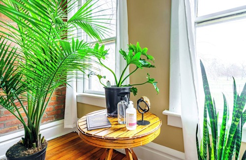 Victorian Village House | The Jungle Book
