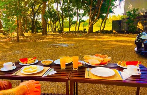Polonnaruwa House | The Lavish Polonnaruwa