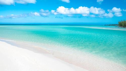 Parrot Cay Cabin | The Lodge at Parrot Cay