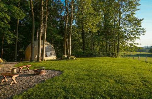 Vernon Other | The Lookout at Moon Valley Campground