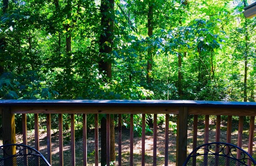 Bella Vista House | The Melanie House at Bella Vista - 7 miles to the Bentonville Square