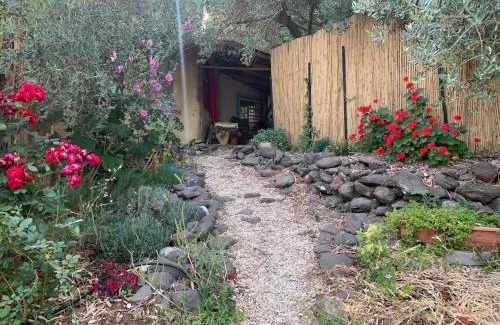 Kfar Hoshen House | the Meshushe