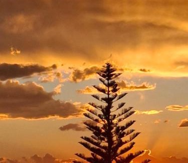 Brenton-on-Sea Apartment | The Monkey Puzzle