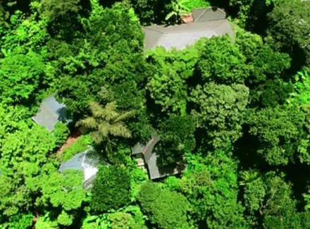 Madikeri Hotel | The Mountain Shades Resort