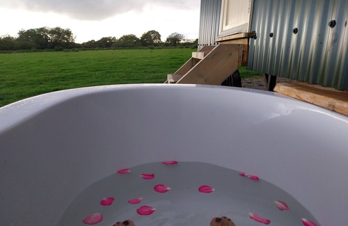Pentrefelin Cabin | The Musterer's Hut, Outdoor Bath & Valley View