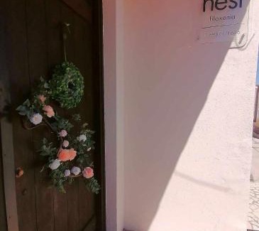 Mesaia Trikala Apartment | The Nest Filoxenia
