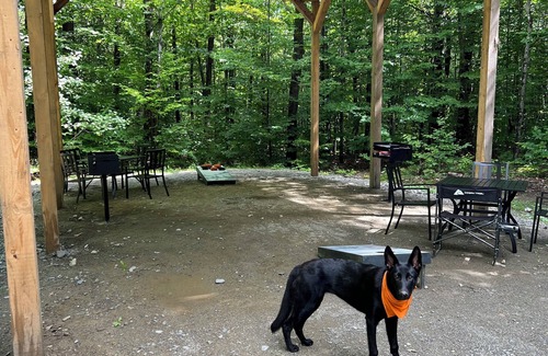 Skowhegan Cabin | The Nest Is the perfect size for a small family