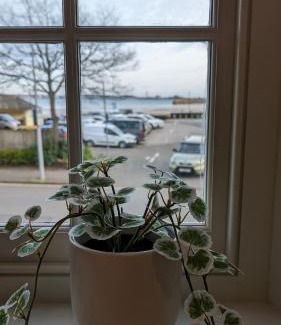 St Aubin Apartment | The Nest - One Bed Apt with Sea Views