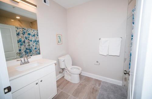Brightwood Park Apartment | The Oasis ;Luxury and Style
