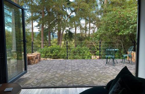 Dorking House | The Observatory Annexe