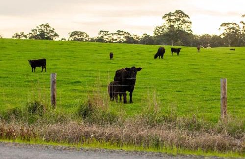 Talunga House | The Old Farm Cottage, Mount Torrens