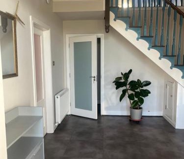 Dundalk House | The Paddocks in Louth