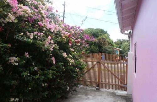 La Pointe Villa | The Pink House