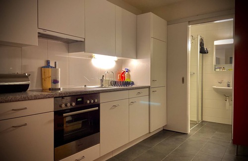 Rorschach Apartment | The playroom on Lake Constance - kitchen - office - dining area - lounge