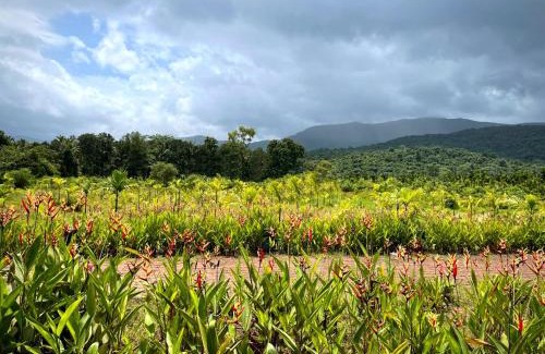 Netravali Resort | The Postcard Hideaway, Netravali Wildlife Sanctuary, Goa