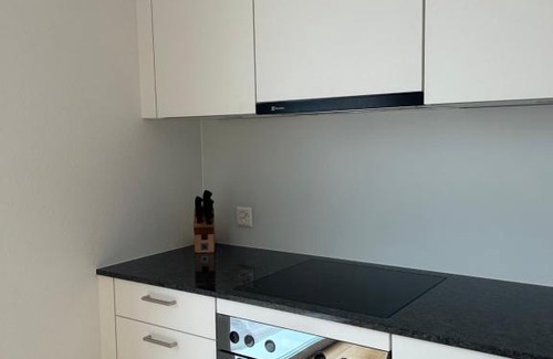 Balsthal Apartment | The R Apartment Passwang, KLIMA, NEU, Balkon, Parking
