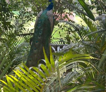 Mathura Hotel | The Radha Ashok