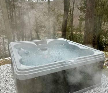 Equinunk House | The River House with Hot Tub