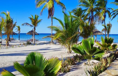 Dongwe Hotel | The Sands Beach Resort