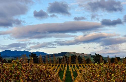 Dyerville House | The Savvy Retreat - vineyard views