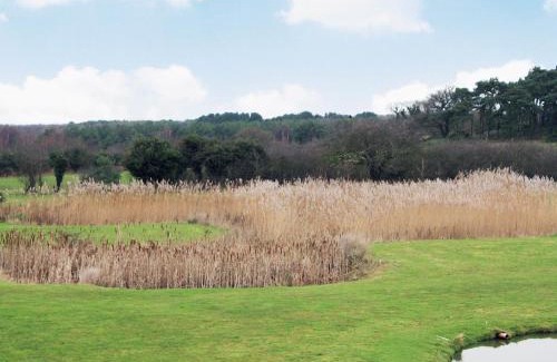 Fritton House | The Shank