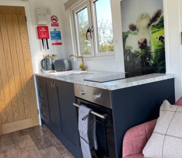 Congresbury Cabin | The Shepherd’s Nest