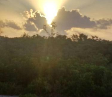 Boca Ciega Apartment | The spot in Tarpon Bay