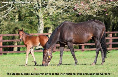 Kildare House | The Stables Kildare - adults only