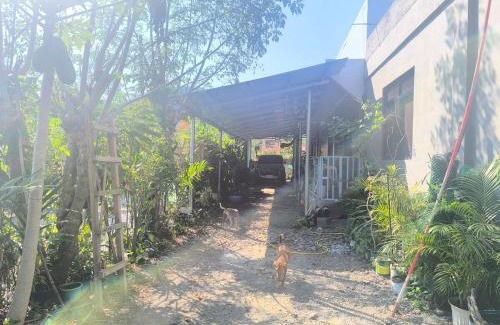 Bangui Apartment | The Stopover at Bangui Windmills