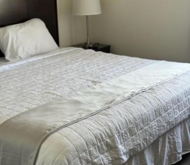 Minot Hotel | The Suite Inn Minot