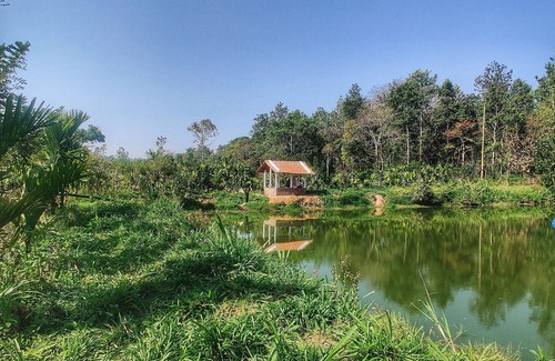 Sakleshpur Villa | The Thota Mane