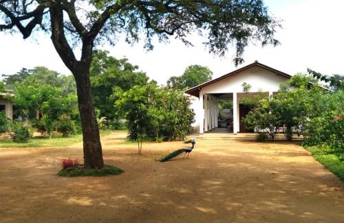 Moragaswewa House | The Treasure - Habarana