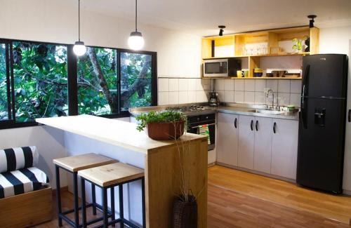 Envigado Apartment | The TREE house