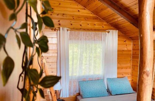 Zitsa Apartment | The Treehouse of The Dragon