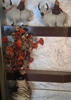 Leh Hotel | The White Yak Hotel